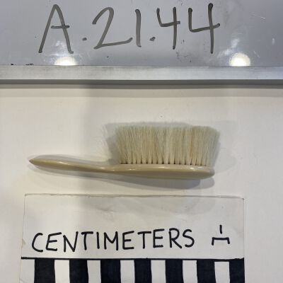 brush