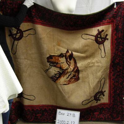 Blanket, Carriage