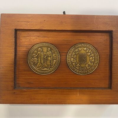 Two bronze medals in wooden frame
