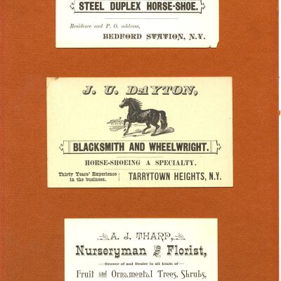 Print, Photographic