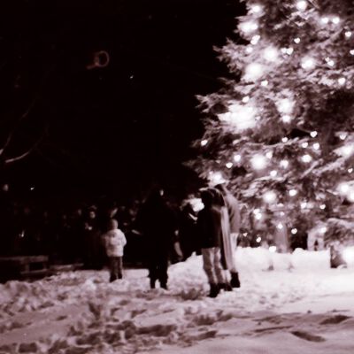 Christmas Tree on the Village Green