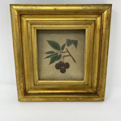 illustration, framed