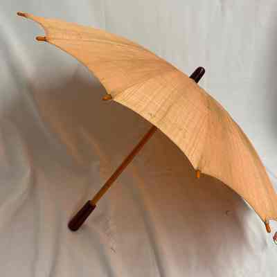 umbrella