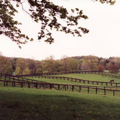 Sunnyfield Farm, 1994, Route 172