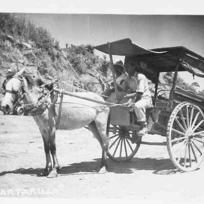 "Tartarilla" (horse-drawn cart), 1940s