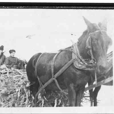 "A ride in the corn shucker", ca 1925