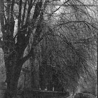 "Sidewalk Alongside Lindenwood College Fence