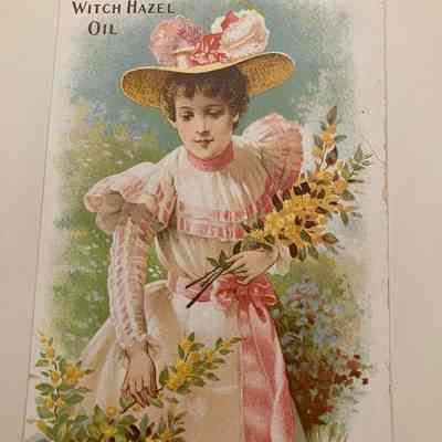 Trade Card