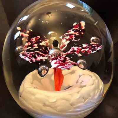 Paperweight