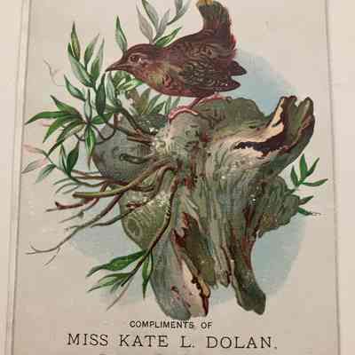 Trade card