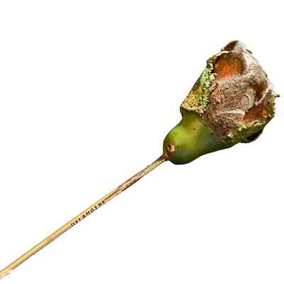 Hatpin