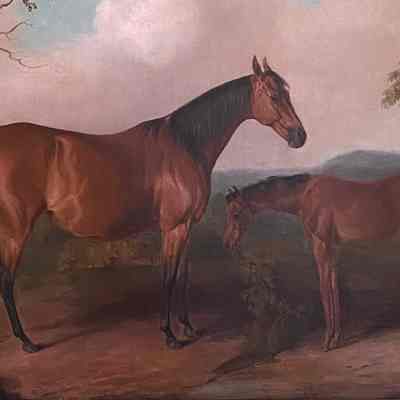 Equine Portrait of Mare and Foal