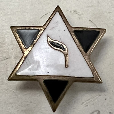 Membership Pins