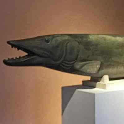 Muskellunge