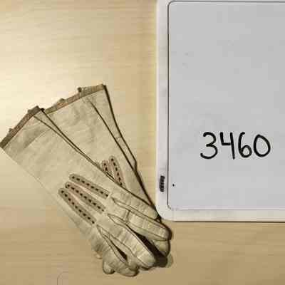 Glove