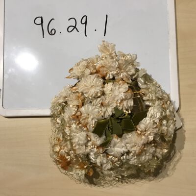 96.29.1
