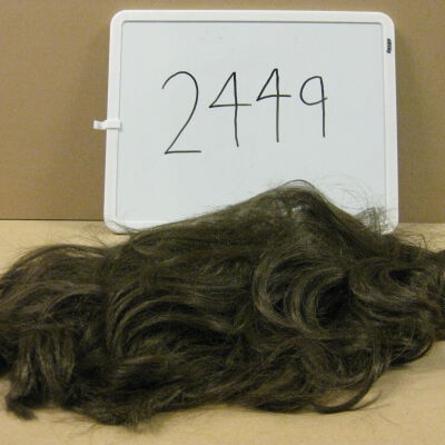 2449