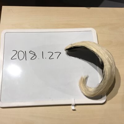 2018.1.27