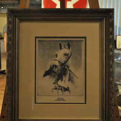 Print, Photographic