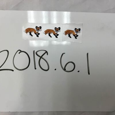 2018.6.1