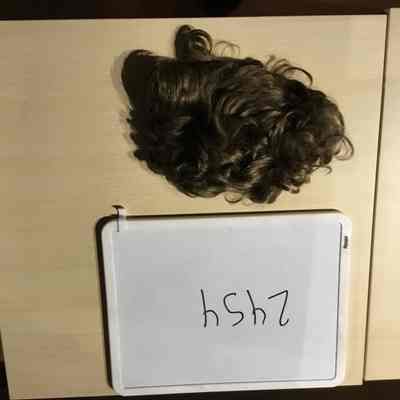 Wig