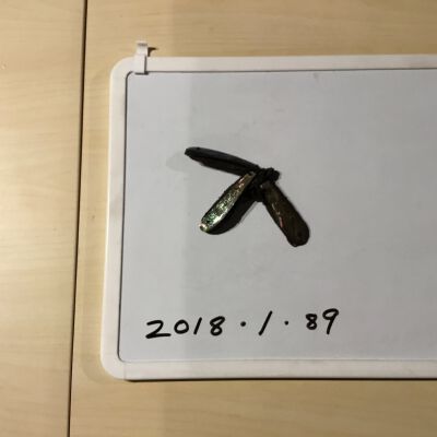 2018.1.89