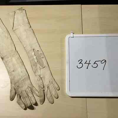 Gloves