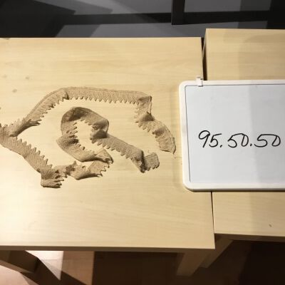 95.50.50