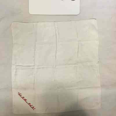 Napkin