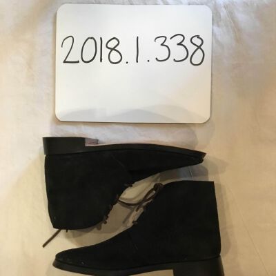 2018.1.338
