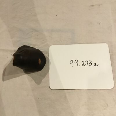 99.273