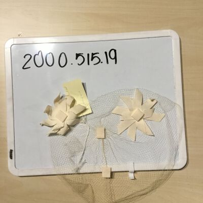 2000.515.19