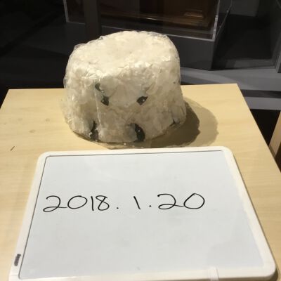 2018.1.20