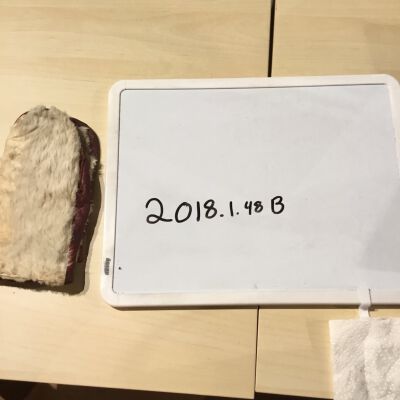 2018.1.48