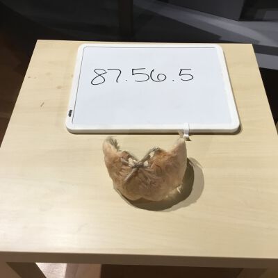 87.56.5