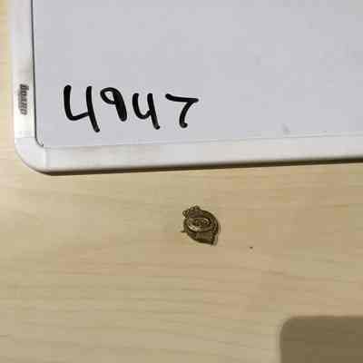 Pin