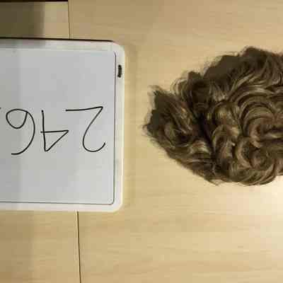 Wig