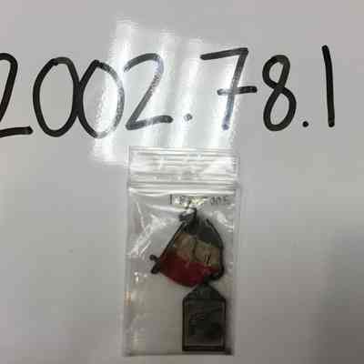 pin