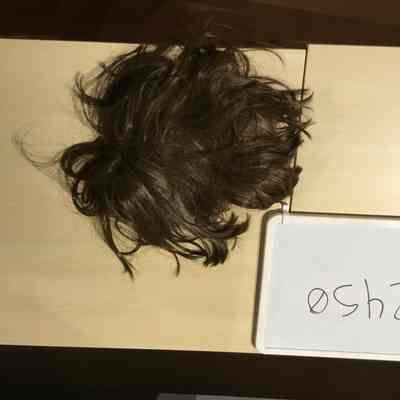 Wig