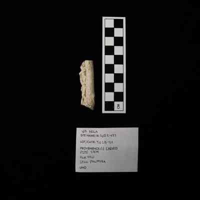 UNO Collections: Palmyra Street