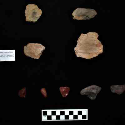 Collection of Artifacts