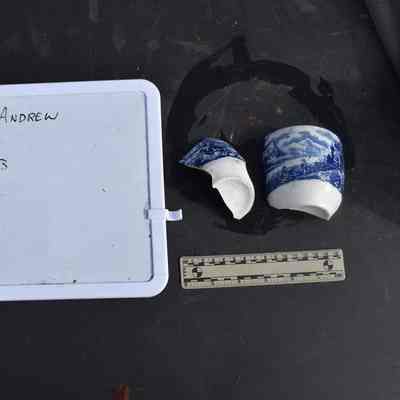 Vessel 3.13 Blue Transfer Printed Ironstone Cup