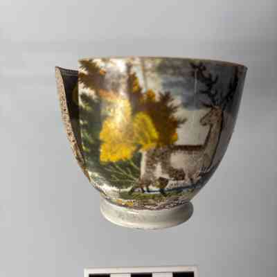 Cup
