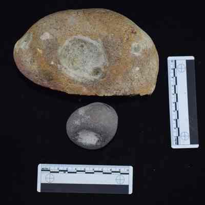 Two Nutting Stones