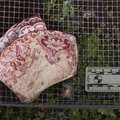 Vessel 8.16 Red Transfer Printed Whiteware Plate