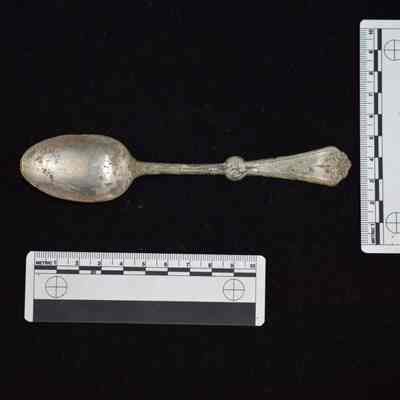 Silver Spoon