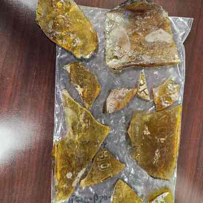 Aromatic Schiedam Schnapps Glass Fragments