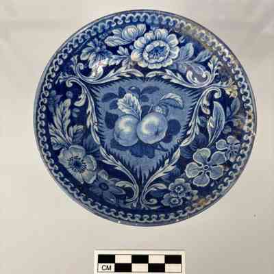 Saucer