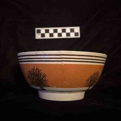 Bowl