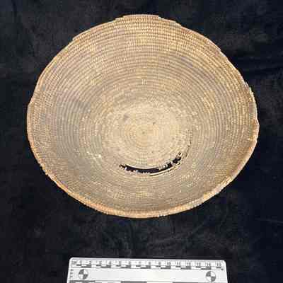 Pima Basket